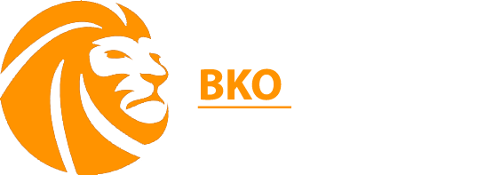 BKO SÉCURITÉ